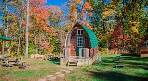 blue ridge mountain cabin rentals pet friendly