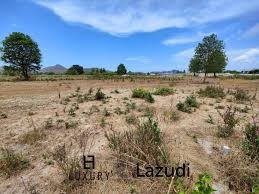 land for sale black mountain