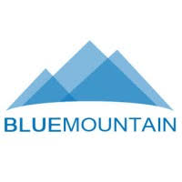 blue mountain realty