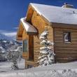 best mountain vacation rentals