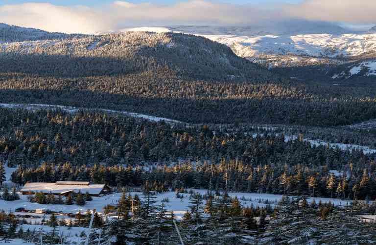 airbnb near mount washington