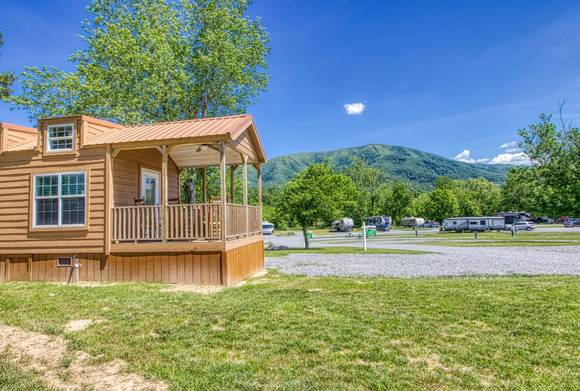 cove mountain realty cabin rentals