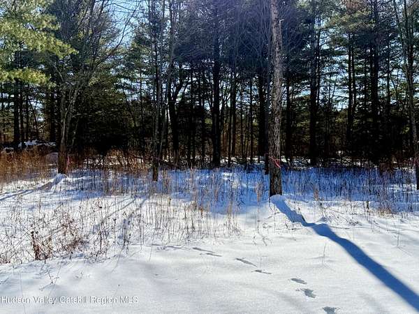 land for sale in the catskill mountains