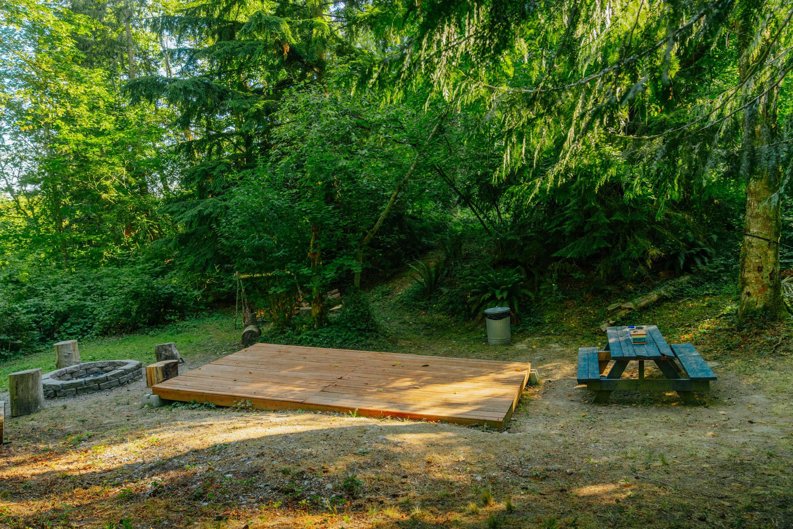 mount rainier cabin rental