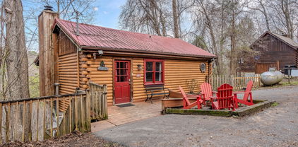 mountain cabins for sale by owner