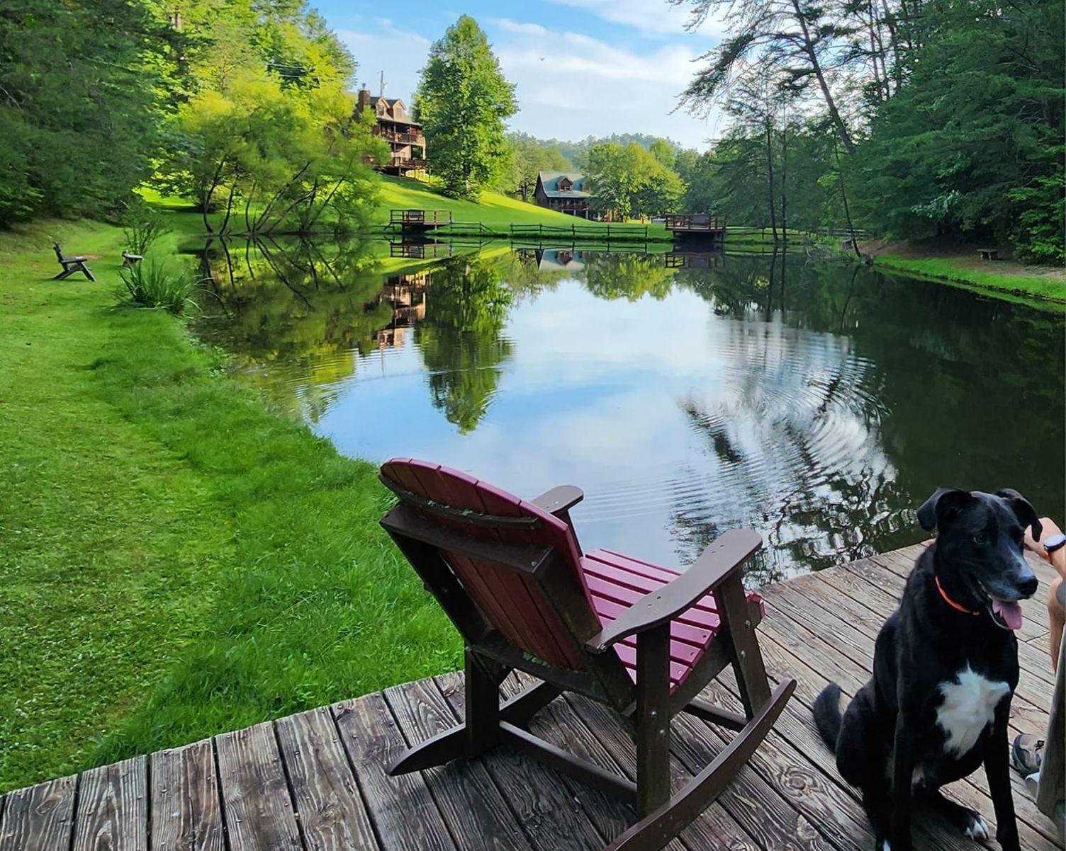 pet friendly cabins in the smoky mountains