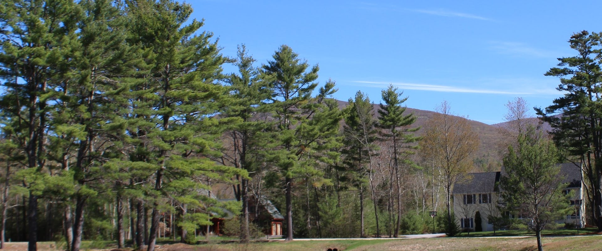 houses for sale in mountain shadows