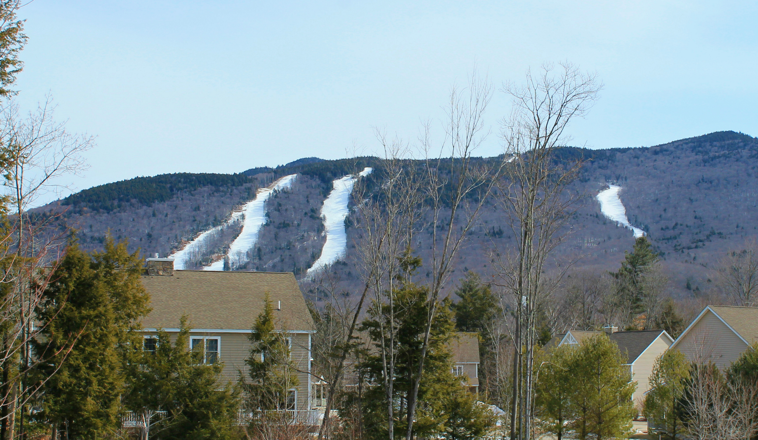 white mountain real estate